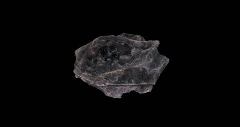 Lepidolite Mineral Turning on Black