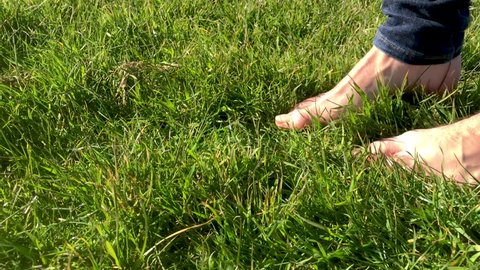 Close up shot of male feet walking bare in green grass for grounding or earthing or connecting and being in touch with nature.