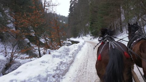 Two horses pull a sleigh in a snowy vallley next to a river. Aurs point of view.