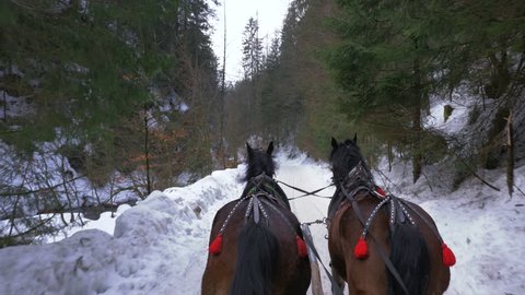 Two horses pull a sleigh in a snowy valley. Aurs point of view