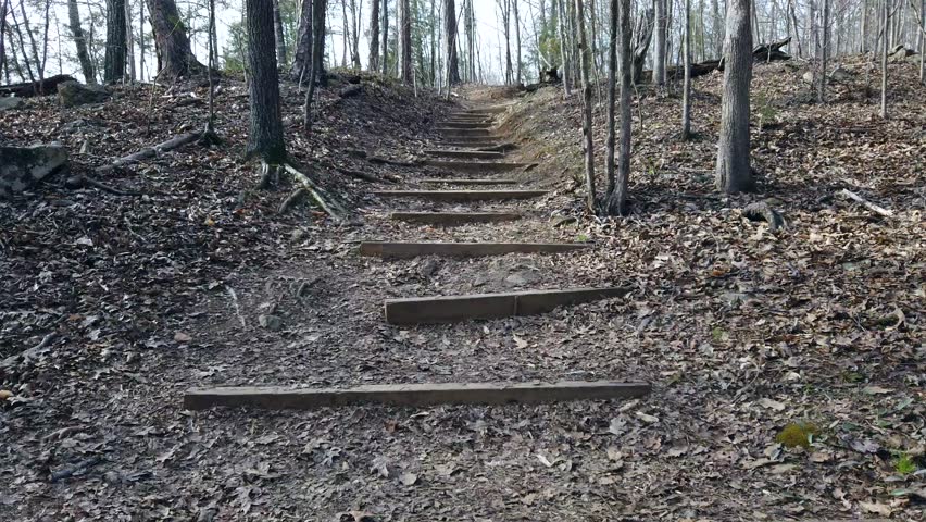 Hiking a walkway in the middle of a forest