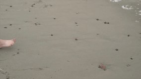 This slow motion close up video shows anonymous bare feet walking along wet beach sand.