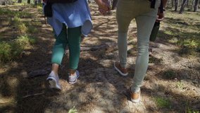 Couple holding hand and walking in forest. Cropped shot of young man and woman with backpacks walking together in forest at sunny day, back view. Leisure activity concept