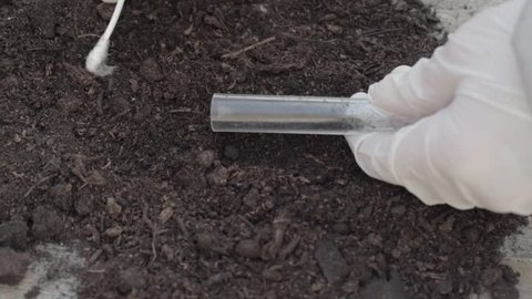 Using a test tube to collect soil sample