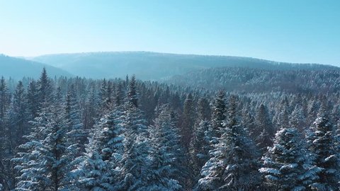 Breathtaking fly over frozen snowy fir and pine trees on distant mountains background. Nature concept. Winter time, coziness, enjoying the landscape. No people around, wild nature