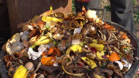 The Compost. Bio-waste Recycling. Organic kitchen waste. Food Waste Composting Bin