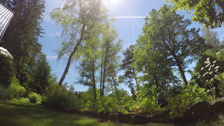 family meet on hut during summer