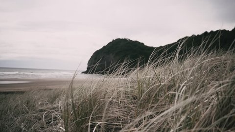 Moody mist passes over north Piha beach behind the sand dunes as the wind howls and the waves crash