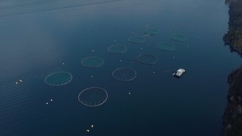 Drone panning shot over salmon farm in Norway.