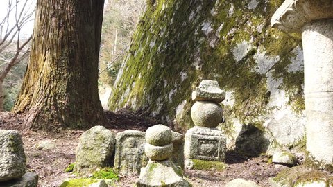 A pan shot of small statues outside of a shinto shrine on a rural mountain trail in Japan.