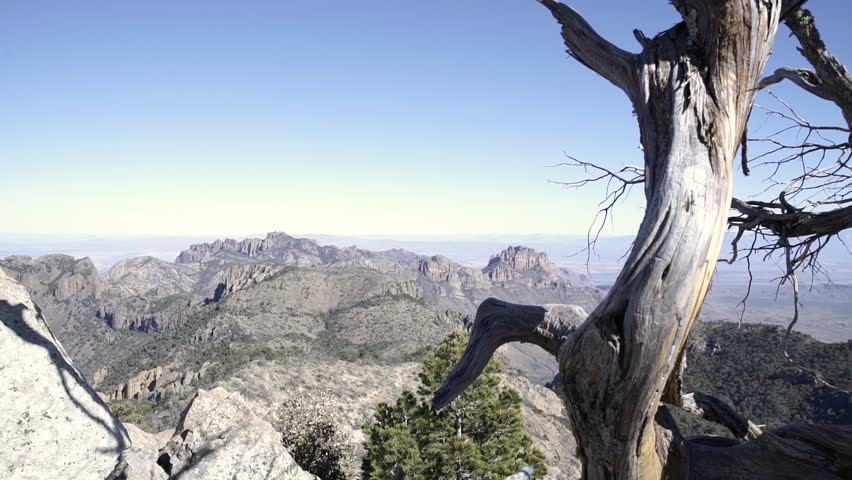 Push in shot at a top of a mountain in the Big Bend National Park, tree in foreground
