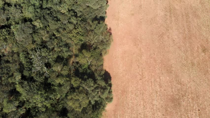 Aerial shot of a green forest beside a desert area due to deforestation Royalty-Free Stock Footage #1028875073