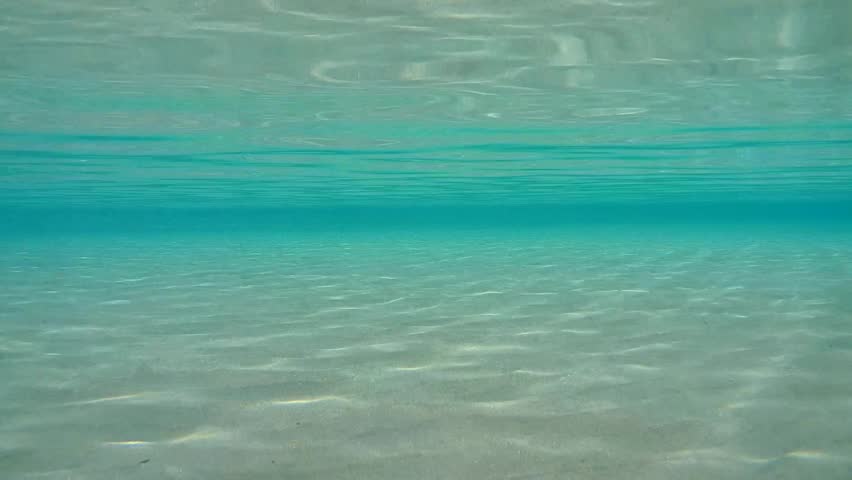Underwater Seascape Surface Water Glare Sun Stok Videosu (%100 Telifsiz) 10...