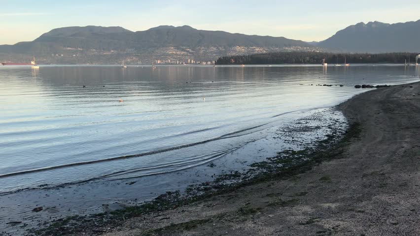 Shoreline in Vancouver . .