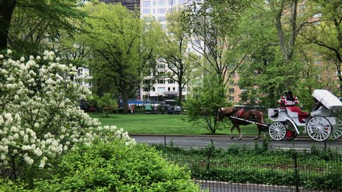 New York New York United States April 28, 2019 Central Park was the first public landscaped park in all of the United States. The Park takes up roughly 843 acres of land. Man jogs next to carriage.