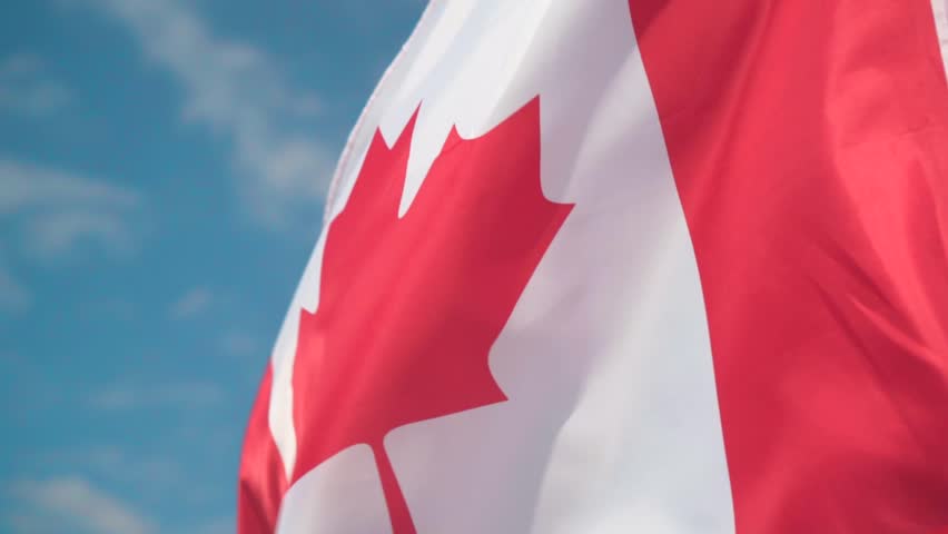 Flag of Canada. The flag of Canada develops in the wind against a clean blue sky. Royalty-Free Stock Footage #1028928515