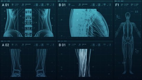 A human skeleton is displayed in 3D after an MRI scan as it is monitored on a high tech, futuristic, display screen with vital data Video stock