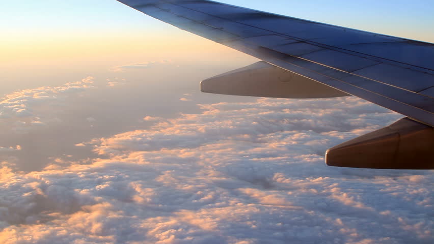 the wing of a plane in flight