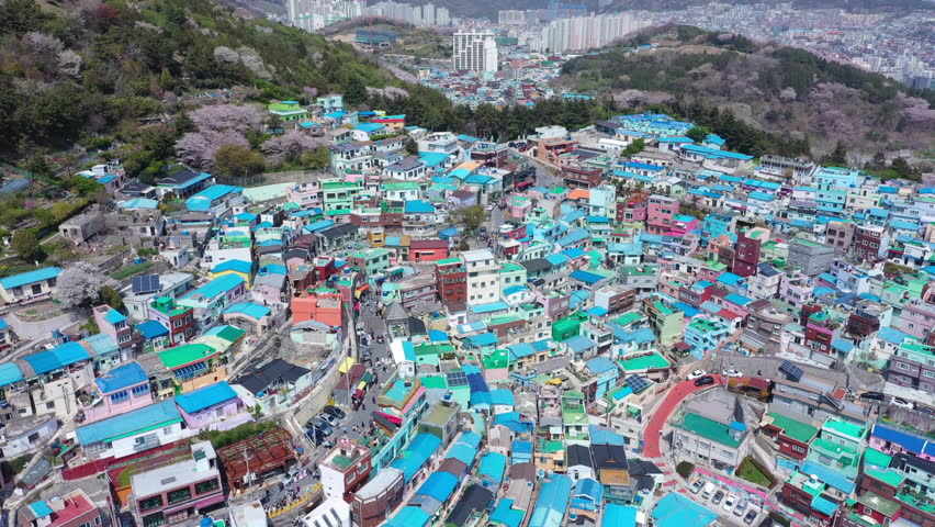 Aerial view Gamcheon Culture Village And beautiful cherry blossom in spring at Busan city South Korea, Busan city popular landmark,The amazing scene of South Korea
