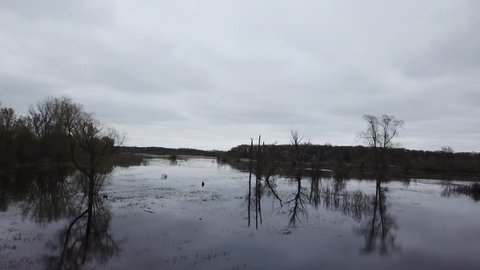 Grand river watershed. Aerial Drone footage of river flooded marsh land. Trees reflected on the water. Grand river Michigan.