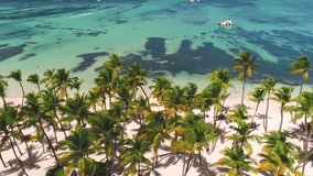 Summer seascape. Aerial top view of beautiful tropical beach and caribbean sea with coconut palm trees and sailing boats in paradise island