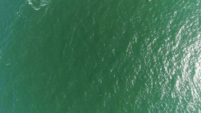 Green sea surface, top view