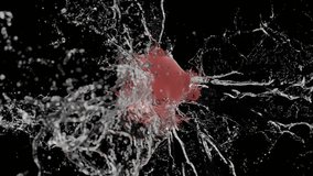 A balloon with water inside explodes in slow motion. Water falls directly into the camera. - Powered by Shutterstock - Get 15% off with code: PIKWIZARD15