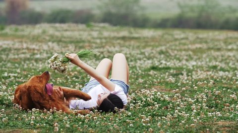 Asian beautiful female owner lying on meadow with bunch of wild clover flowers in hand to tease golden retriever rubbing pet chest hair in morning of spring Chinese pretty woman petting dog outdoorの動画素材