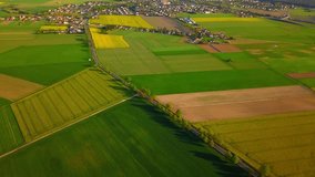 Beautiful spring fields with blooming rape near small city. 4k AERIAL video.