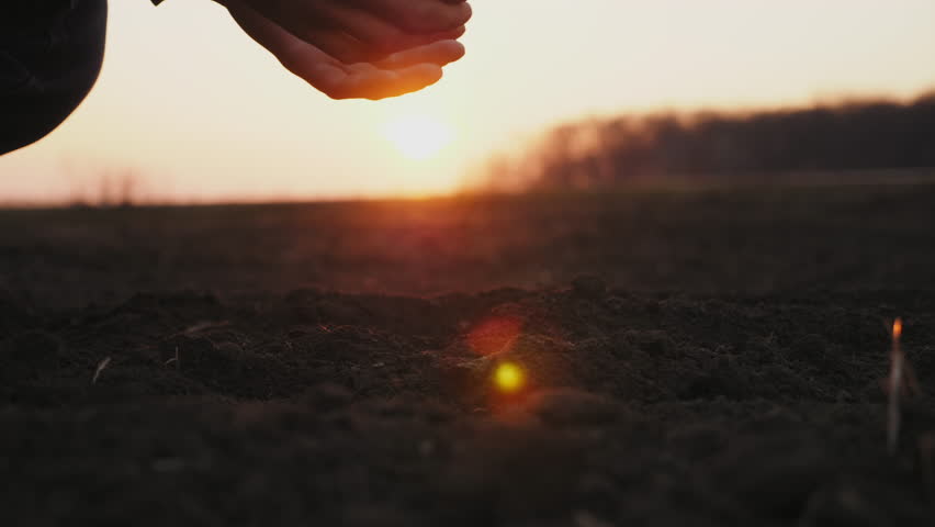 Side view: Farmer holding ground in hands close-up. Male hands touching soil on the field. Farmer is checking soil quality before sowing. Royalty-Free Stock Footage #1029045665