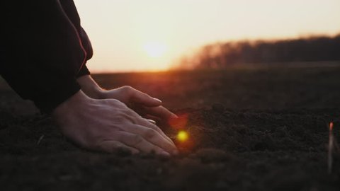 Side view: Farmer holding ground in hands close-up. Male hands touching soil on the field. Farmer is checking soil quality before sowing.