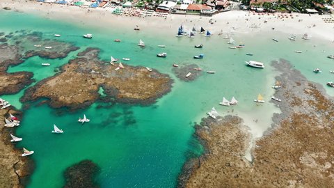 Aerial Forward: Amazing Tropical Beach with Colorful Boats and Beach Umbrellas in Porto de Galinhas, Brazil