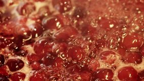 Slow cooking sugar syrup with fresh red strawberry currant and gooseberry, cooking homemade preserve, it will be jam later. Close up video