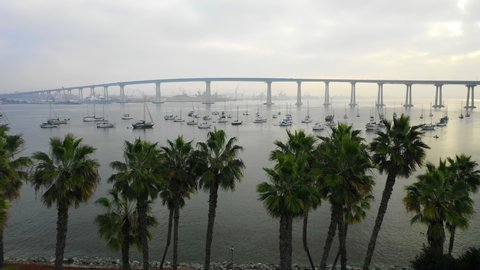Aerial Forward: Trees In Park By Edge Of Ocean, Long Bridge Leading Into City in San Diego, United States of America
