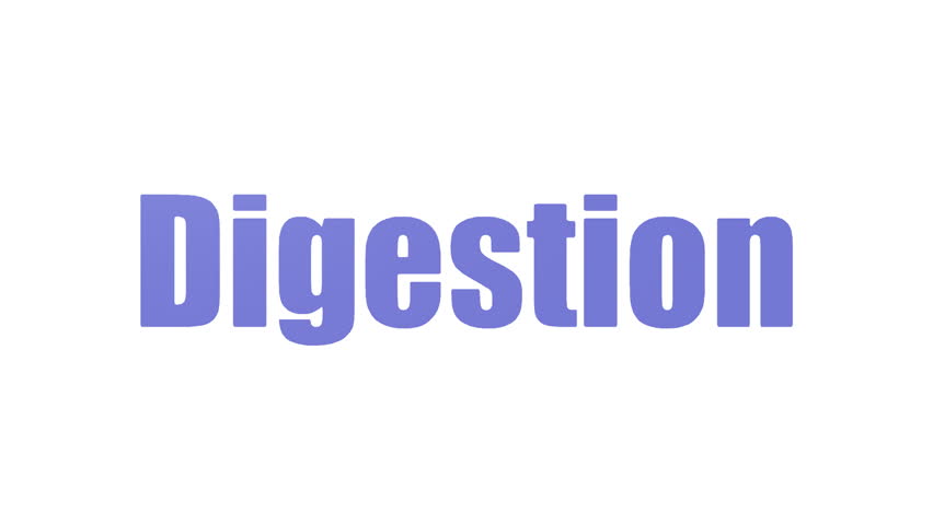Digestion Word Cloud Animated On White Background | Shutterstock HD Video #1029065936