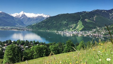 Real time panorama footage of scenic alpine landscape with clear lake flowers blooming on meadows and snow-capped mountain peaks in springtime, Zell am See, Nationalpark Hohe Tauern region, Austria