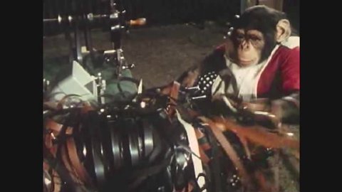 CIRCA 1960s - A chimp destroys an editing set-up while another takes his turns with an animation stand