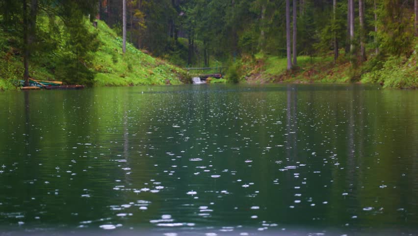 Lake in the forest. Nature