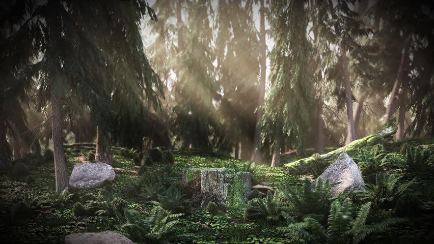 Cg Dawn in the forest