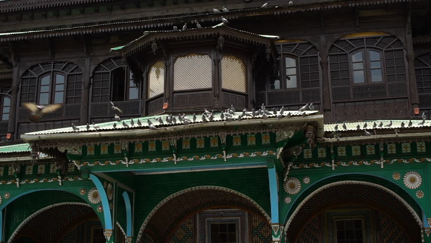 Extreme close-up shot of pigeons the ground at Shah Hamdan Mosque, Srinagar.