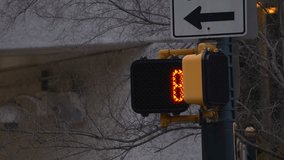 Pedestrian signal light footage video