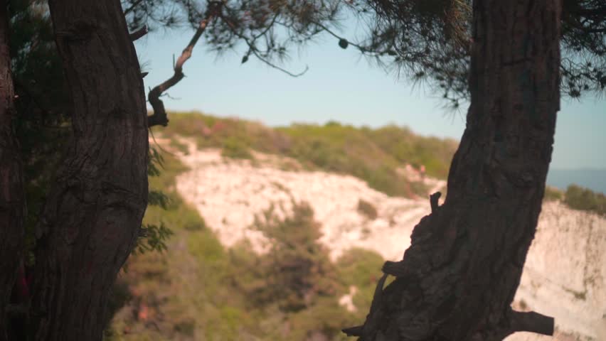 A girl with dark hair in a black-and-red shirt, a bandana and glasses walks through the mountains between the trees, on her shoulders a tourist backpack and a rug. Background sky, trees.