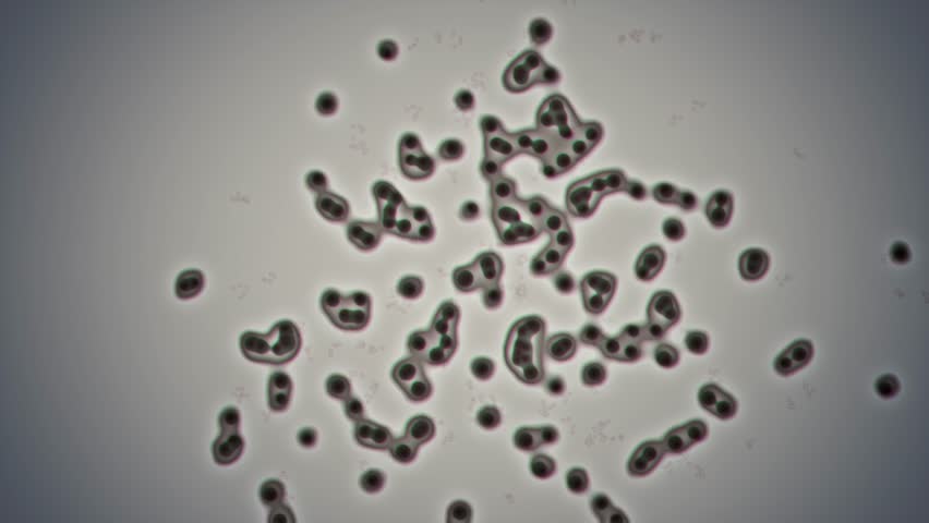 4K - Cloning bacteria (microscopic CGI plate) | Shutterstock HD Video #1029162626