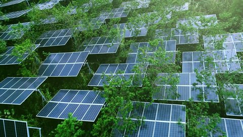 4K Aerial  view of Solar Panels Farm (solar cell) with beautiful lighting.Drone flight fly over solar panels field with tree growth among the panels. Thailand.