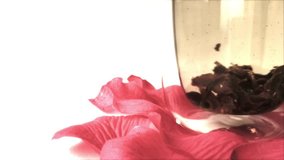 Close-up, seamless looped video: transparent glass with green oolong tea standing on pink rose petals on white background. Tea leaves move in hot water