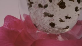 Close-up, seamless looped video: transparent glass with green oolong tea standing on pink rose petals on white background. Tea leaves move in hot water