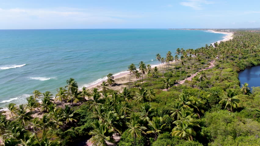 Aerial view of tropical white sand beach and turquoise clear sea water with small waves and palm trees forest. Praia do Forte, Bahia, Brazil. Travel tropical concept | Shutterstock HD Video #1029200048