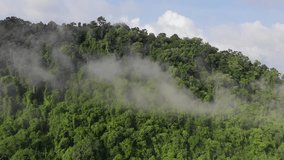 Aerial footage mountain rainforest jungle. Clouds over forest 