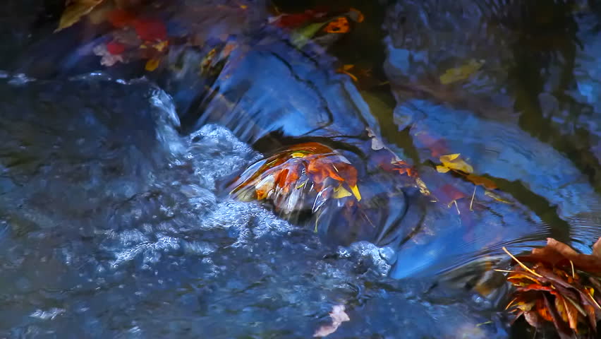 River small flowing water looping time lapse