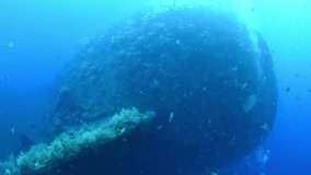 Sunken ship near the coast of Bali. World War II. Artificial reefs and coral gardens - fantastic underwater world. Diving and snorkeling in Bali.